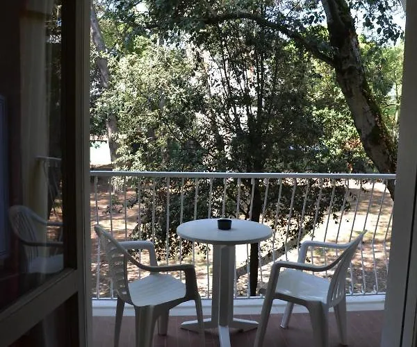 فندق Park Ravenna 4*