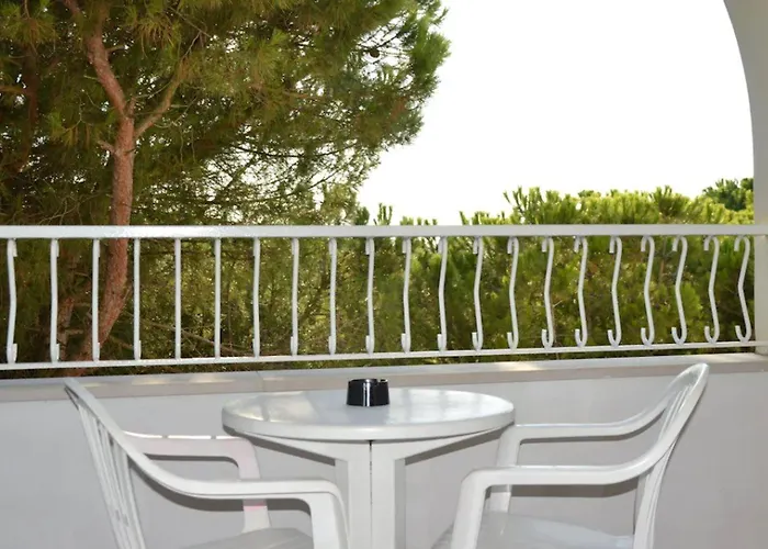 Park Ravenna فندق 4*